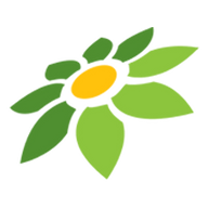 LINK HK